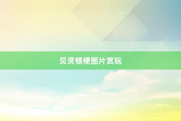 贝灵顿梗图片赏玩