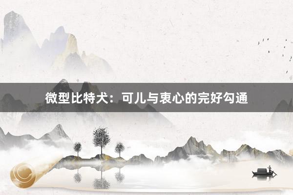微型比特犬：可儿与衷心的完好勾通