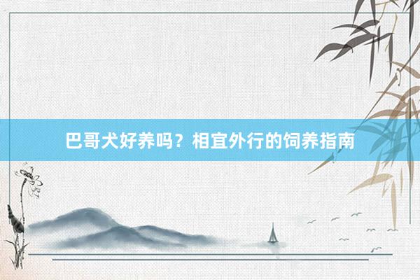 巴哥犬好养吗？相宜外行的饲养指南